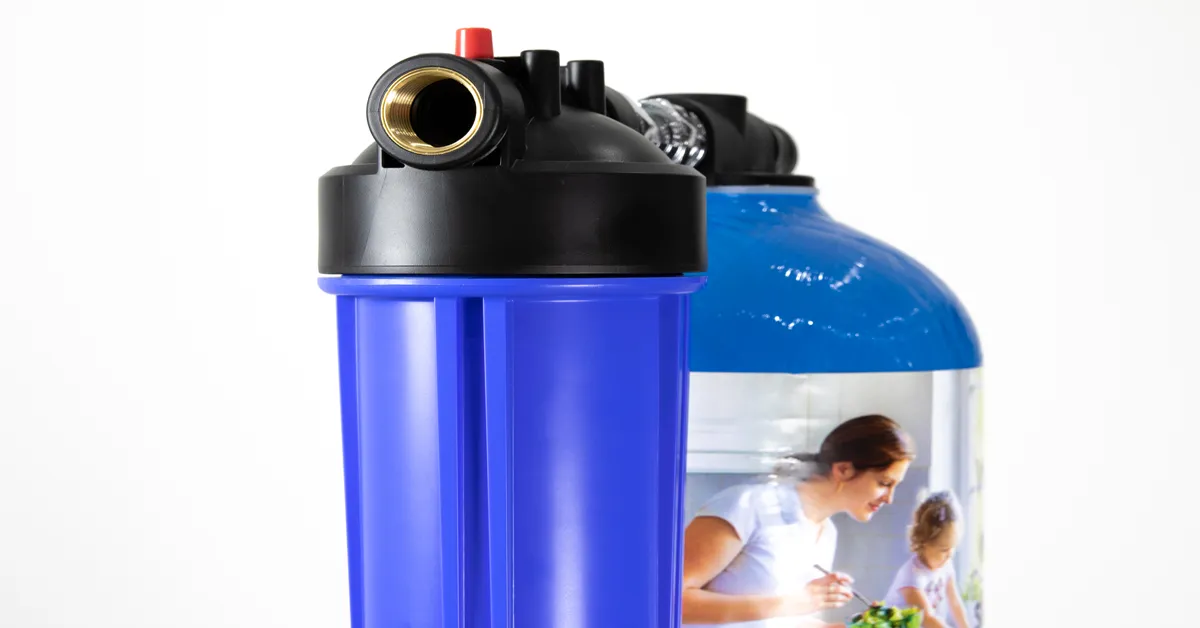 mains water filter for home